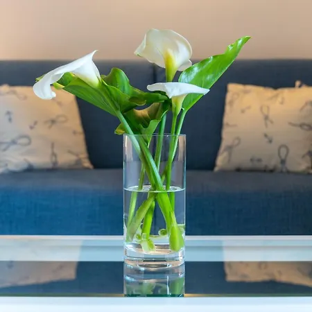 La Vignana - 5 Terre Maison d'hôtes